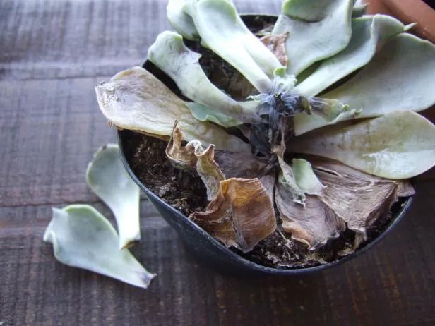 2023010916732354601137406666.jpg 5前.jpg